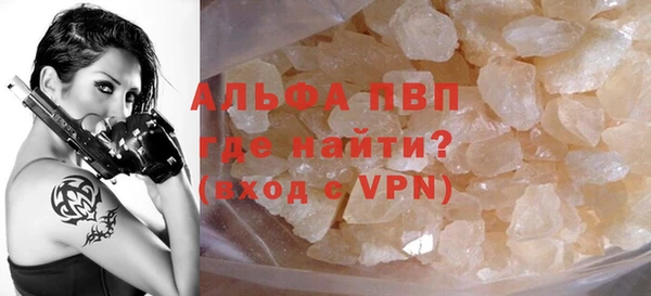 PSILOCYBIN Волосово