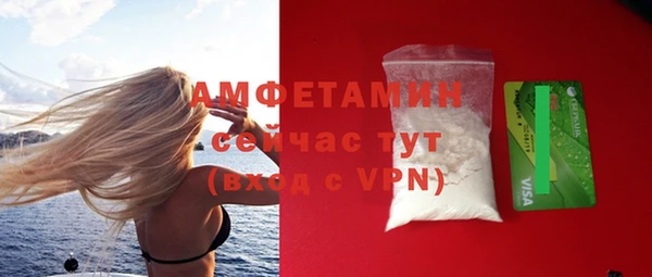 шишки Верхний Тагил