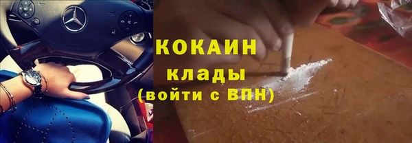 шишки Верхний Тагил