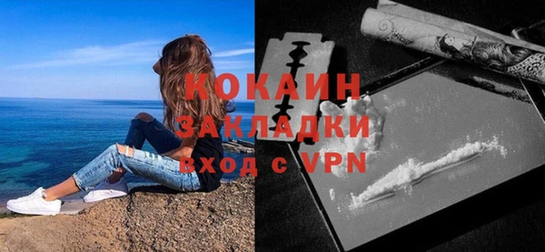 шишки Верхний Тагил