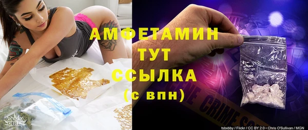 шишки Верхний Тагил
