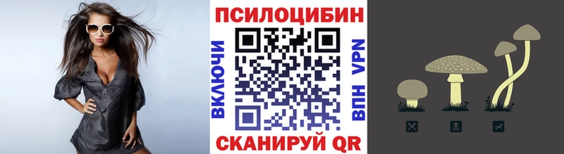 Псилоцибиновые грибы Cubensis  Данилов 